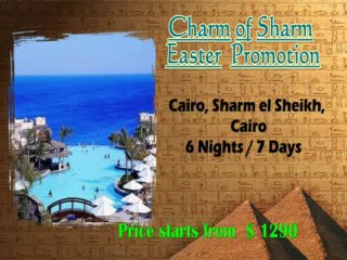 Yalla Orienttours offers the excellent opportunity for the tourists.