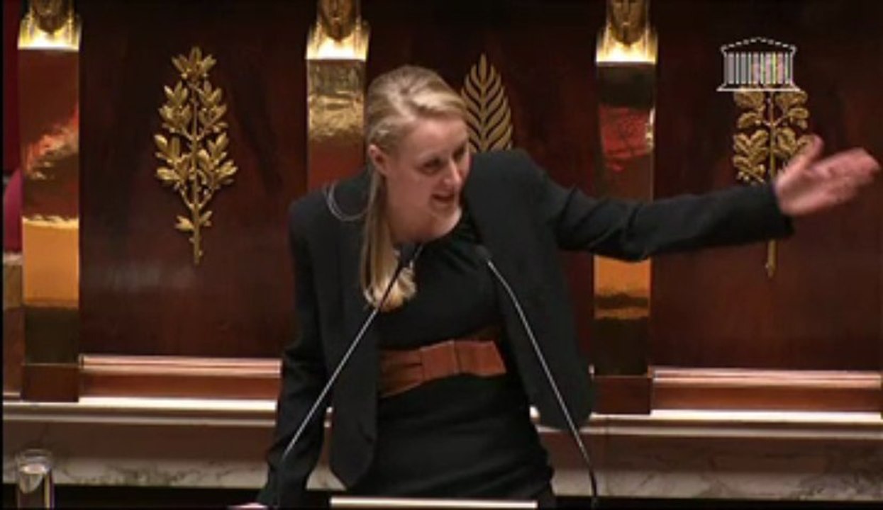 Marion Maréchal-Le Pen, "la propagande antifasciste" et "les prisonniers politiques"