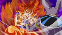 Dragonball Z Battle of Gods Petition