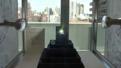 Pagan 14 millones de dólares por un diamante blanco de 75 quilates