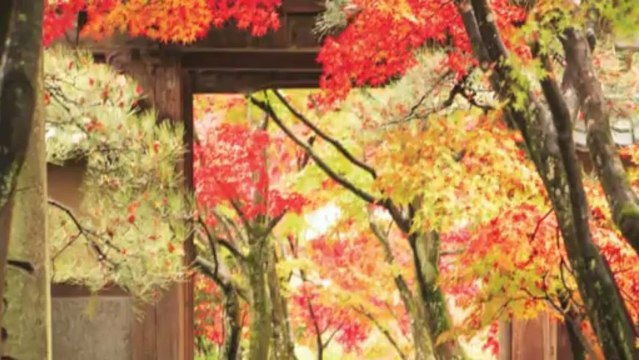 GOLDEN BAY CAM RANH - ĐẤT NỀN NGHỈ DƯỠNG VEN BIỂN - LH:0946 75 33 55