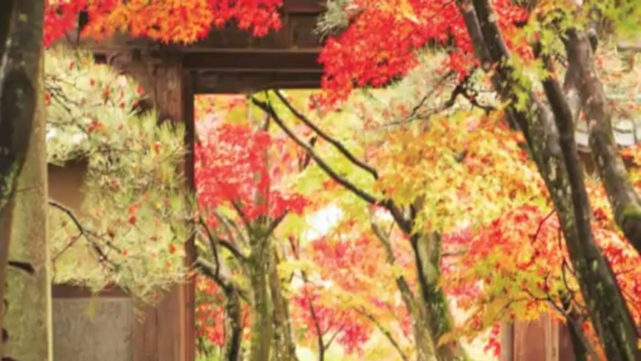 GOLDEN BAY CAM RANH - ĐẤT NỀN NGHỈ DƯỠNG VEN BIỂN - LH:0946 75 33 55