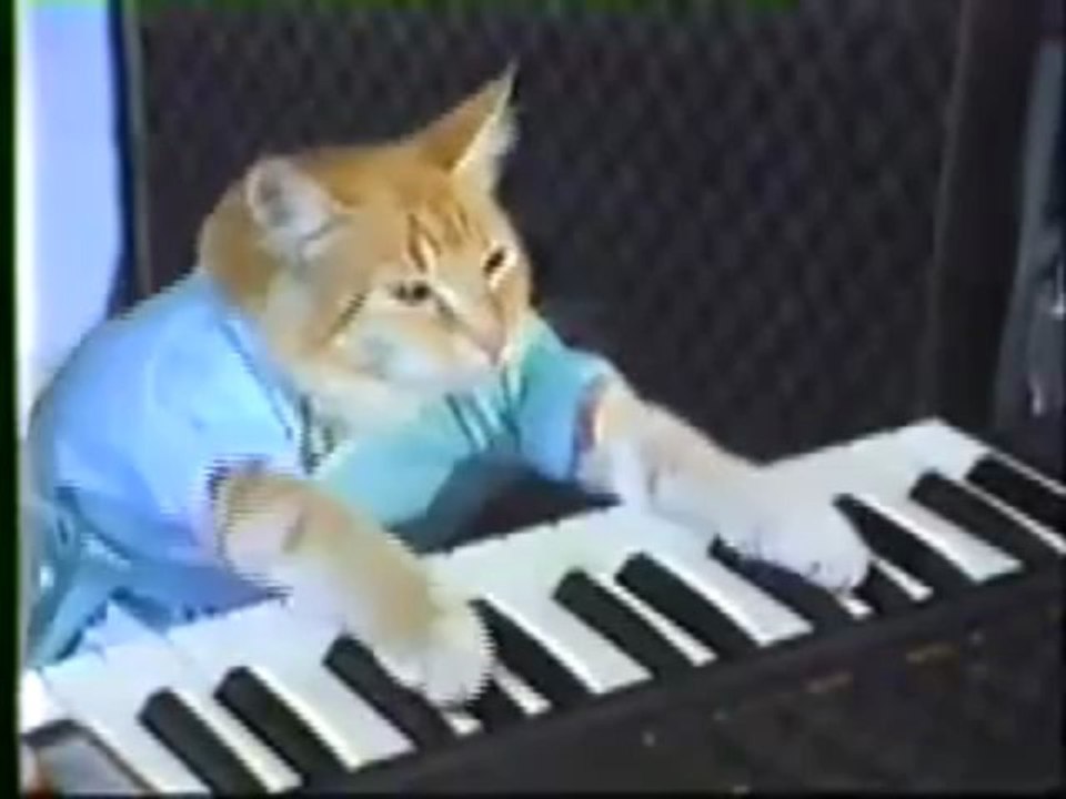 Keyboard Cat