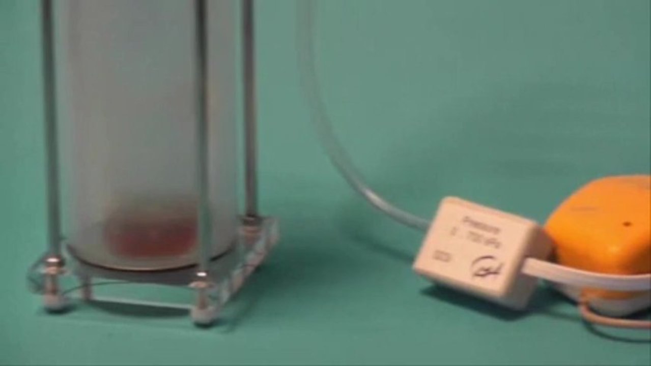 Cinétique et catalyse