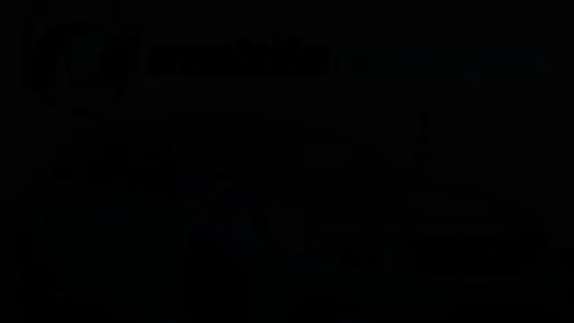 Chip Tuning Dogs | ECU Remapping