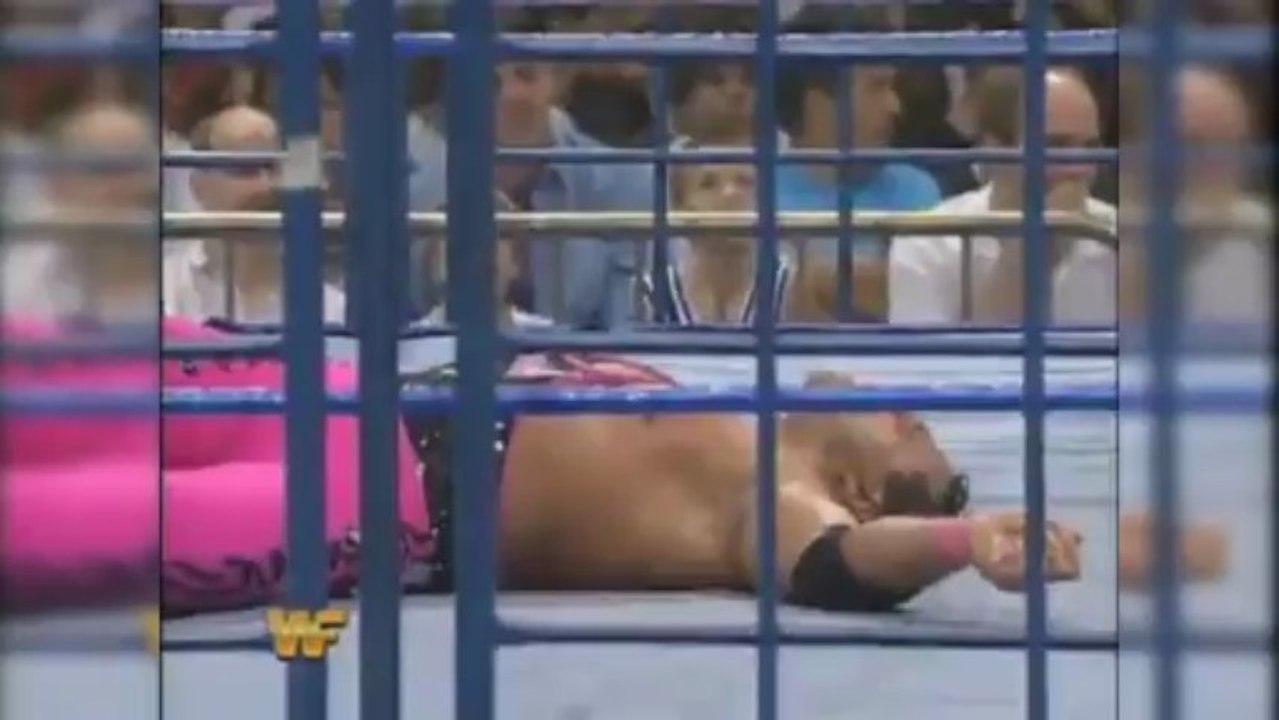 Owen Hart vs Bret Hart Summerslam 1994