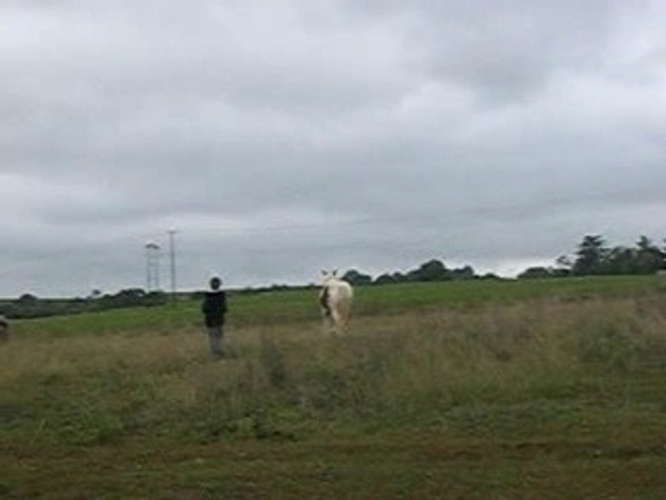 comanche et rivière