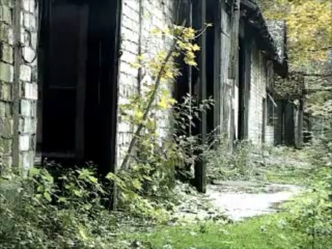 PARIAS! Die Welt ist ein Märchen... Oder? BUFFON