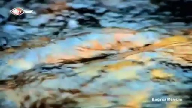 03 ismail altunsaray gökyüzünde uçan bölük bölük turnalar 27.12.2012 beşinci mevsim