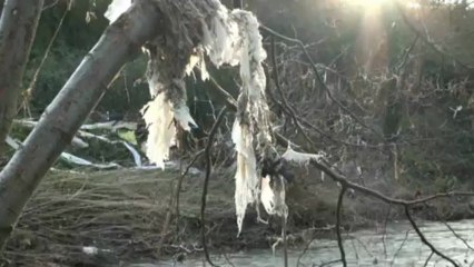 Basuras en río Nora entre Oviedo y Siero