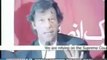Will carry out countrywide protests if upcoming elections rigged  Imran Khan