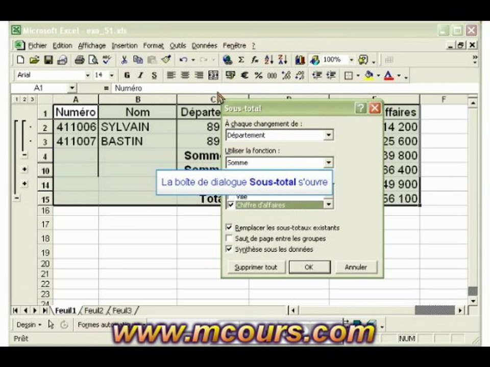 Tutoriel EXCEL 2003: Cours N°38 Créer des sous-totaux