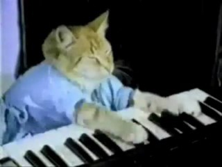 türkçe taverna müzik -_0002