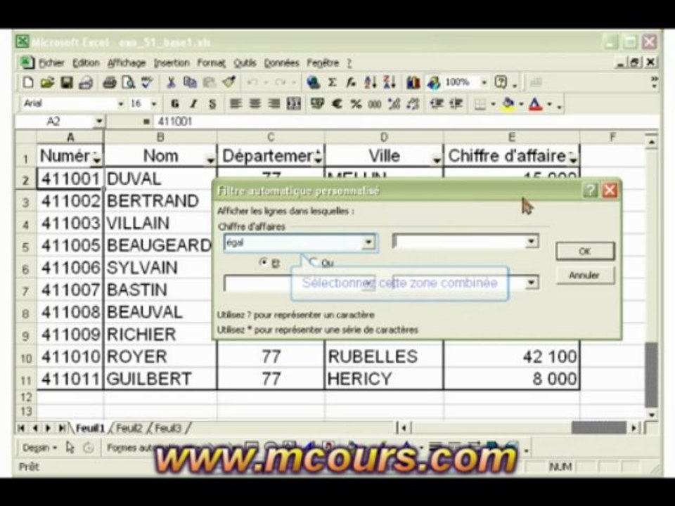 Tutoriel EXCEL 2003: Cours N°37 Créer des filtres