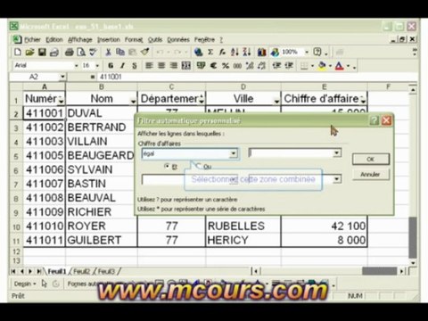 Tutoriel EXCEL 2003: Cours N°37 Créer des filtres