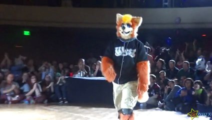 FWA 2013: The Fursuit Dance Competition Part 1