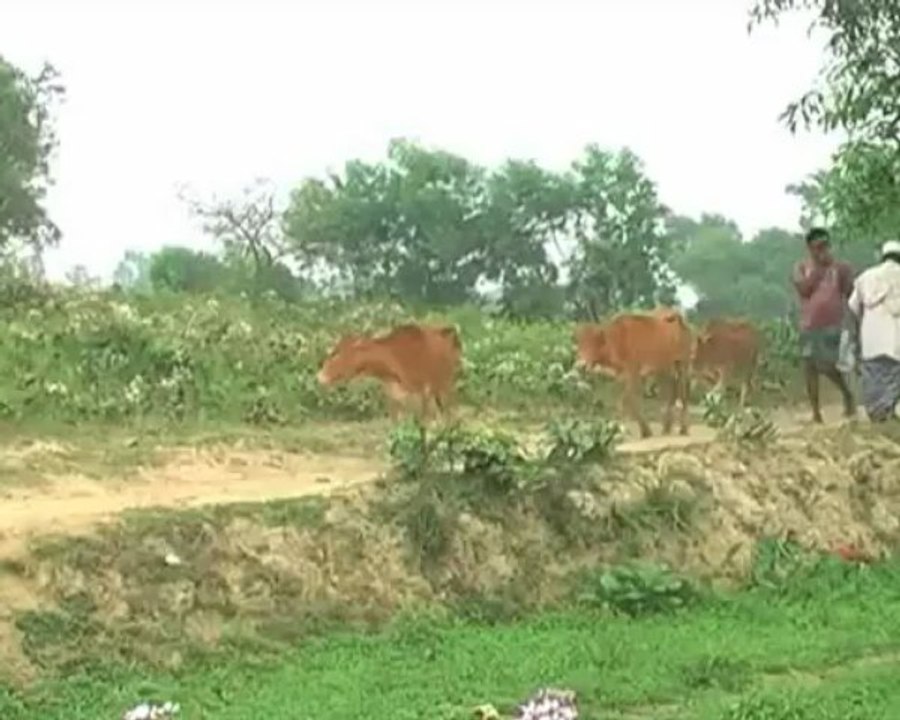 মাত্র পাঁচ কিলোমিটার দীর্ঘ সড়কের অভাবে পিছিয়ে রয়েছে বানিয়াচং উপজেলার পুকড়া ইউনিয়নের ১০টি গ্রামের উন্নয়ন।