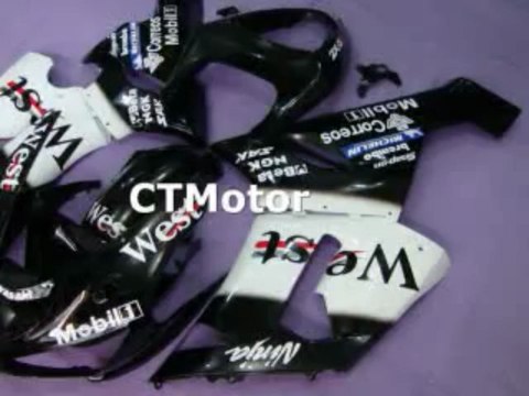 CTMotor 2005-2006 KAWASAKI ZX6R ZX-6R 636 FAIRING 67A