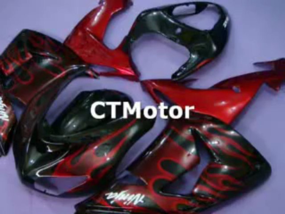 CTMotor 2006-2007 KAWASAKI ZX10R ZX-10R 10R FAIRING 46B
