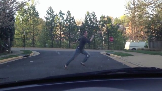 Если бы люди переходили через дорогу, как животные / If Humans Crossed the Street Like Animals