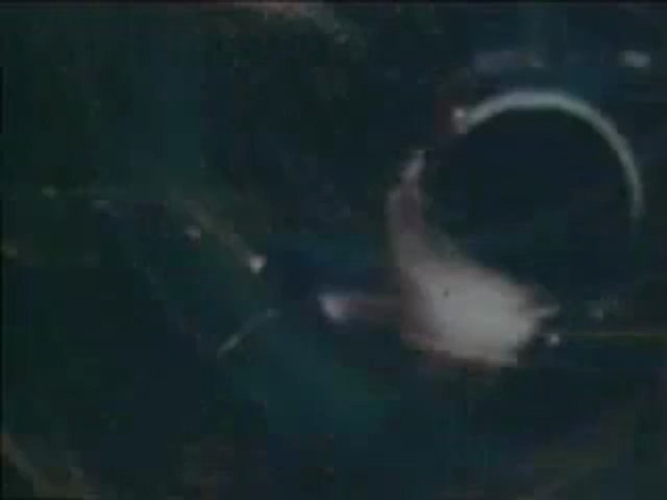 1964 Ford Mustang Commercial