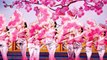 Entertaining and Thrilling Shen Yun Performing Arts in Austin