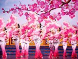 Entertaining and Thrilling Shen Yun Performing Arts in Austin