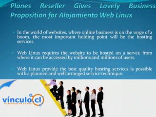 Planes Reseller Gives Lovely Business for Web Linux