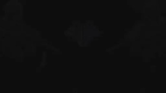 Blunder Gat Black Ops 2 Zombie Secret Mob Of The Dead