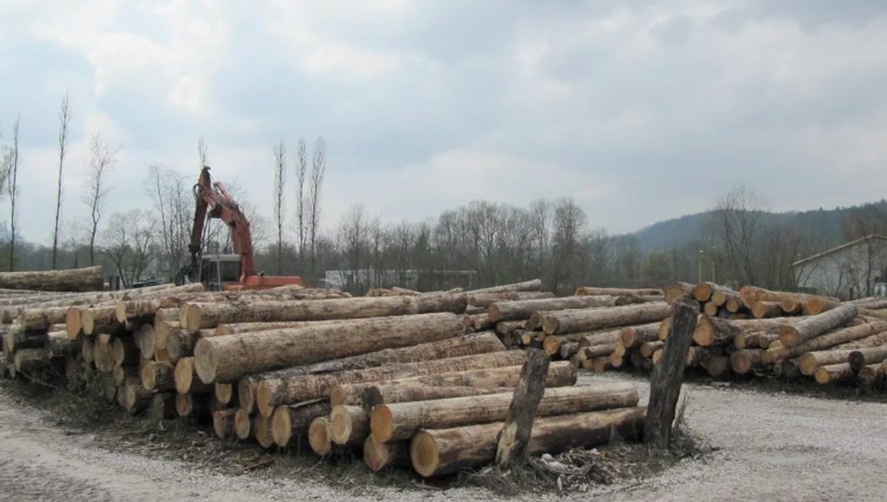 Portfolio "Au fil du bois" propulsé par le Parc naturel régional de Chartreuse