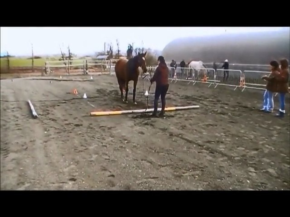 Cécile Equifeel 17/03/2013