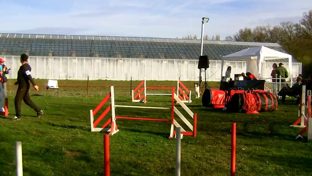 Déli, Open Fontenay 2013