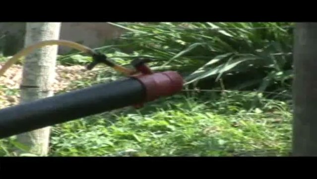 Sucre VIsible Abril 10 de 2013