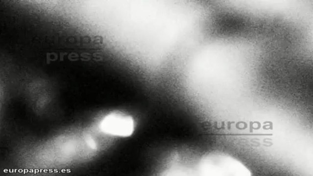 Rihanna podría estar embarazada de Chris Brown