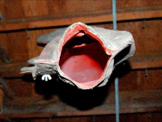 Taxidermy Aquatic Marine Molds For Sale