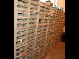 Bins Full of Fasteners, Bolts, Nuts, Screws for Sale
