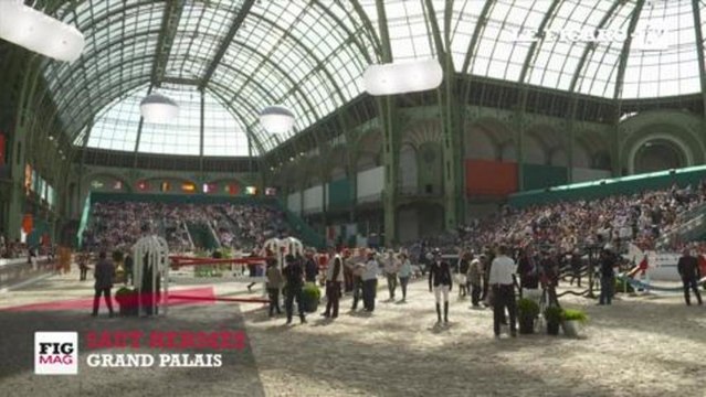 Saut Hermès : le cheval en Majesté