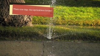 Sprinkler-Repair-Monument-CO-Blowout-Internalization-Lawn care-lawn aeration-Lawn Pros-Irrigation-Colorado-Springs-CO-719-963-6267(1)