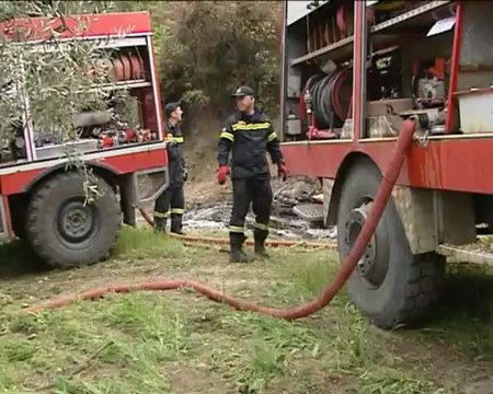Φωτιά στον Άγιο Κωνσταντίνο Φθιώτιδας