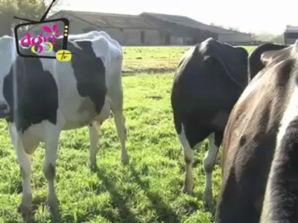 Le point sur la situation laitière