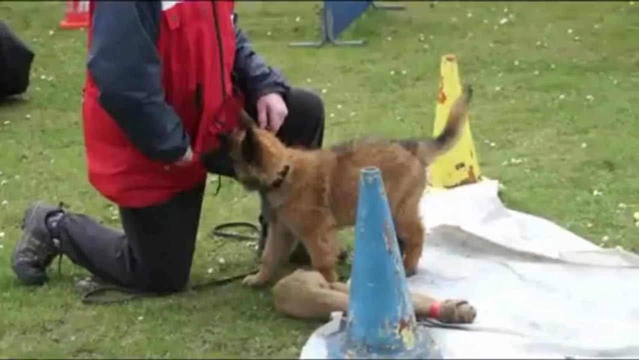 Index des Mystères de Téotihuacan  ( D'Iams / D'Jakson)