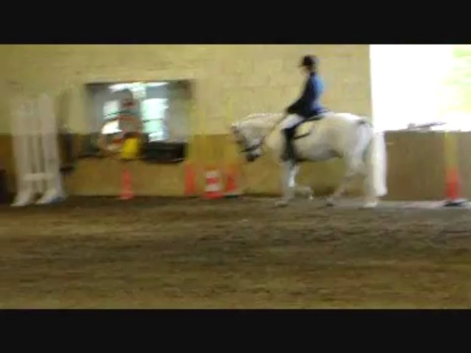 Club2 Dressage 2012 65%