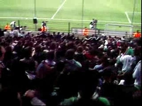 asse om stefanois stefanois oué oué