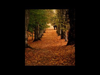 je te cherchais partout