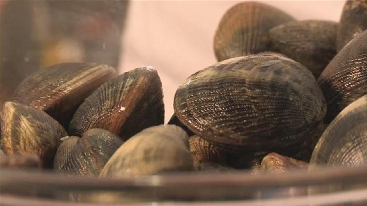 How To Tell If Clams Are Fresh When You Buy Them video Dailymotion