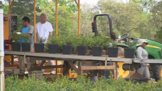 Tom Dodd Nursery Potting Machine Ellis Products EZ Potter Pro Line Of Potting Machines