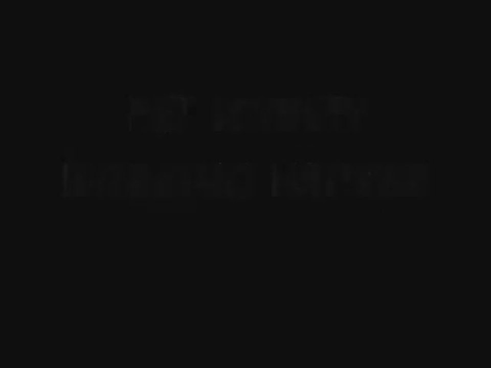 generador de dinero,coins  gratis para Pet Society Nuevo