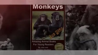 Monkeys - For Kids - Amazing Animal Books for Young Readers