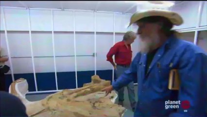Secrets of the Dinosaur Mummy