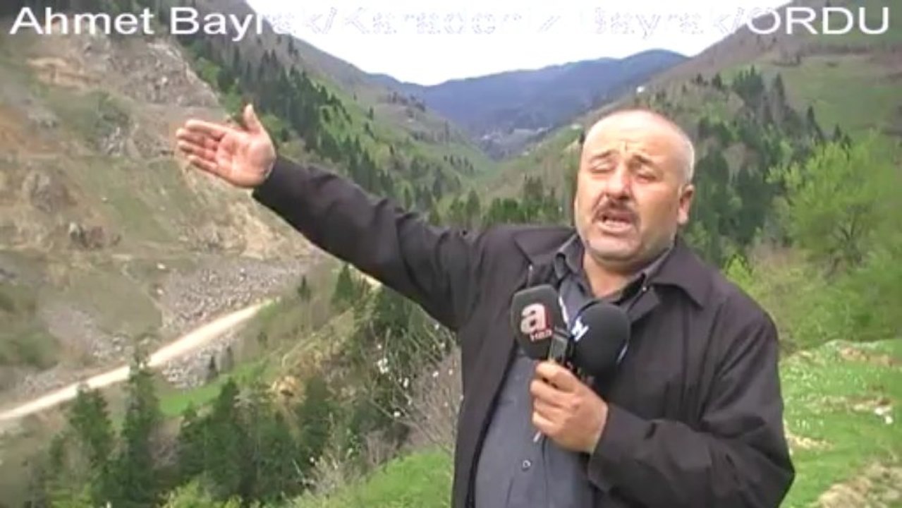 BAL ORMANLARI